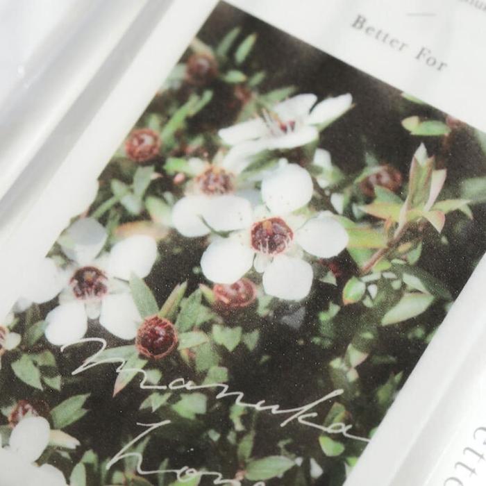 Pot Trading】マヌカハニースティック | snaq.me store (スナックミー